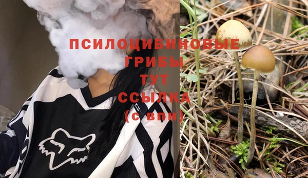 твердый Нея