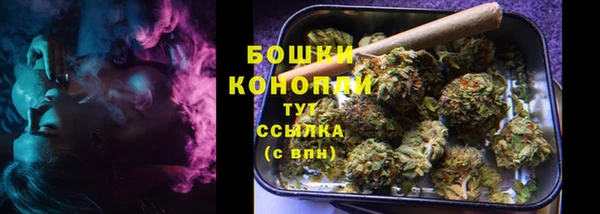 крисы Нефтегорск