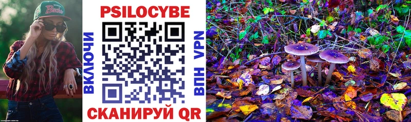 Купить где  Коммунар  Галлюциногенные грибы прущие грибы 